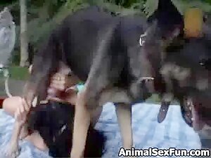 Extreme Bestialitat: Zoophilie-Video mit einem Hund