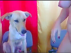 Video de Sexo con un Perro