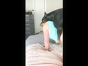 Sexvideo mit einem Hund: Entdecken Sie unseren neuen Hundestar