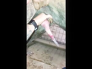 Donna sottomessa al suo cane: un video scioccante di zoofilia