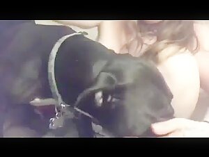 Video di sesso bestiali con una donna e un cane