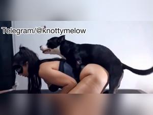 Chienne et playmate : duo caliente