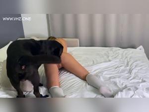 TABOOS rotto: Veronica Silesto Animal Exhibitionism