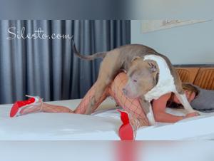 VSilesto's Canine Cravings: First Four-Legged Fun Session