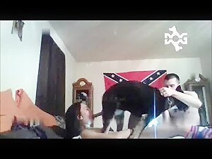 Video of Sex with a Dog