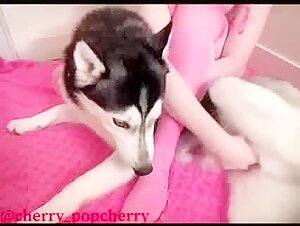 Cherry dans une rencontre bestiale et intense avec un chien