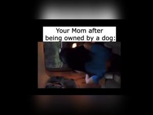 Verbotene Wunsche: Hund, Sex und Herrschaft