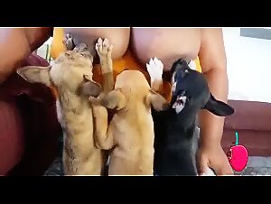 Mature woman and dog: an intense zoophilia video