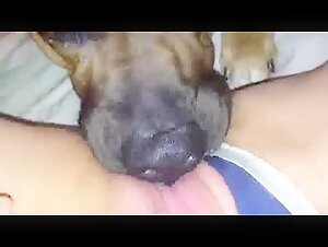 Encuentro bestial: mujer y perro