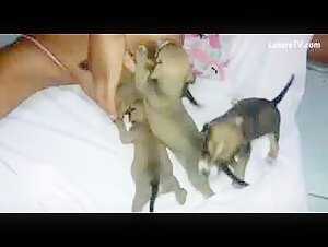 Video de zoofilia: una perra sumisa a su amo canino