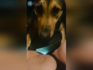 seine tierischen Impulse befriedigen