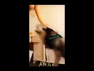 Vidéo de Sexe avec un Chien