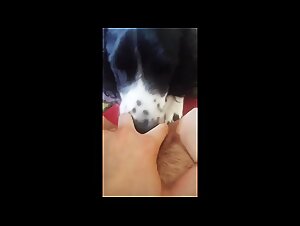 Mujer follando con un perro: un video de zoofilia que no te puedes perder