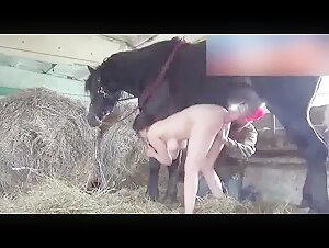 Expérience Bestiale et Excitante: Vidéo de Zoophilie avec Cheval