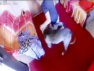 Video amateur de zoofilia: descubre el sexo con un perro