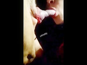 Blowjob-Fahigkeiten fur Hunde