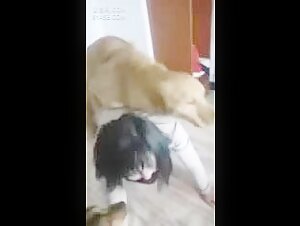 Banned video: Bestiality sex with a dog