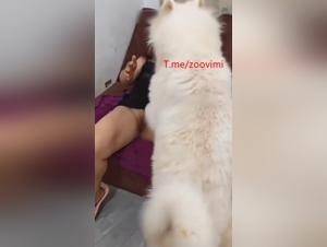 China Hardcore: Asian Slut Sodomized by Dogs