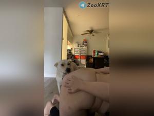 Le delizie del bestiame della mamma