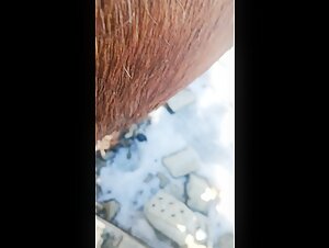 Donna che scopa con una cavalla - Video di zoofilia estrema