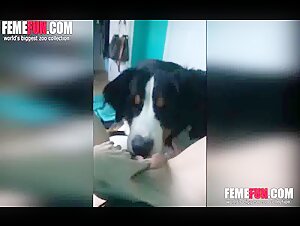 Video bestiale: un'adolescente e un cane