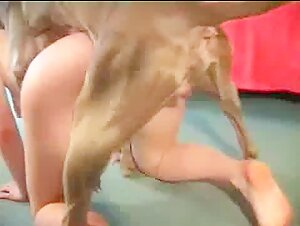 Submissive woman and dog: an extreme zoophilia video