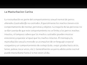 La guia definitiva sobre la bestialidad: sexo con perros y caballos