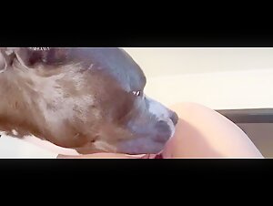 Bestialidad extrema: Video de zoofilia con un perro