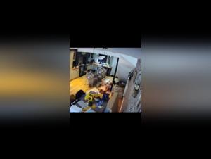 Doggy Lickings on Camera: Her Pup Devours Her in a Filmed Frenzy