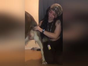 Bestiality hunda: Mikil anaegja