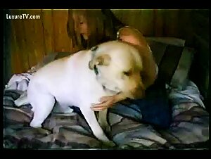 Coleccion de videos de bestialidad n.deg 32: Escenas de sexo intenso con perros