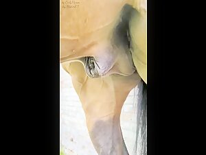 Video de bestialidad: caballo y mujer