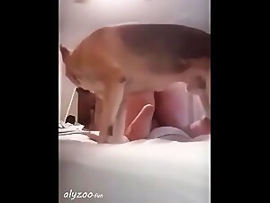 Brutal Zoophilia: Dog Savagely Eats His Whore