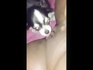 Femme noire et chien : une vidéo bestiale à ne pas manquer