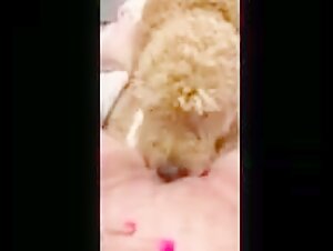 Mommy Cum - Video di sesso bestiale