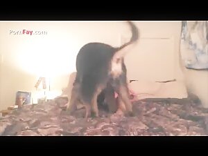 Primera experiencia de bestialidad con un perro