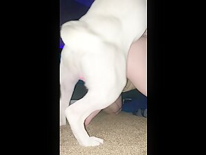 Beautiful teen and her dog in bestiality sex scene  