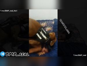 Benji Production : Nouvelle Girl - Domination canine sauvage