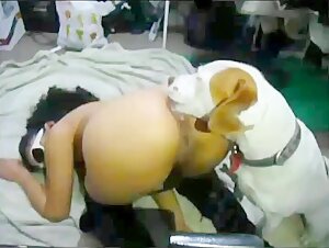 Woman and her dog in shocking bestiality sex video