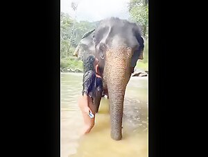 Encuentro zoofilo con un elefante: una experiencia emocionante