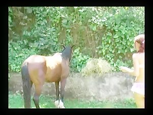 Femme et cheval dans une scène de zoophilie intense