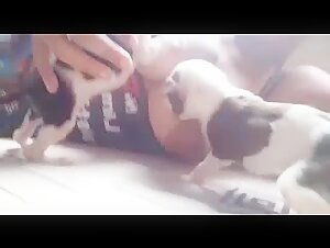 Woman breastfeeding two puppies in bestiality video