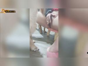 Happy Dogs: Slipp los dine morkeste fantasier