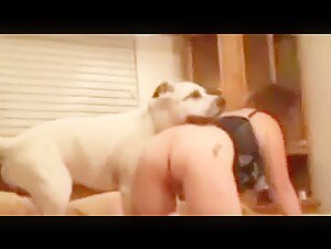 Vidéo de sexe avec un chien : Cerise sucrée