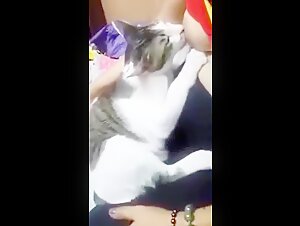 Cuidando a un gato salvaje en un intenso video de bestialidad