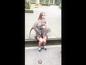 Bestiality video: monkey and human