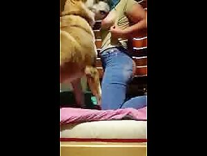 Mujer y perro: un encuentro sexual inolvidable