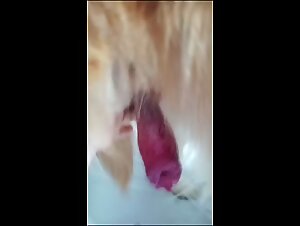 Extreme Zoophilia: The Slut Gives Herself To Her Dog