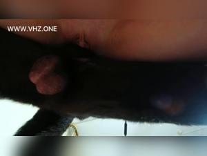 Tierfreude: Veronica ohne Zuruckhaltung