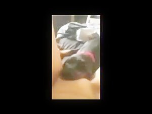 Recopilacion de perros lamiendo la intimidad